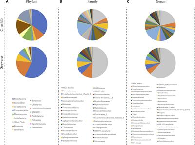 Seasonal Changes in Microbial Communities Associated With the Jewel Anemone Corynactis viridis